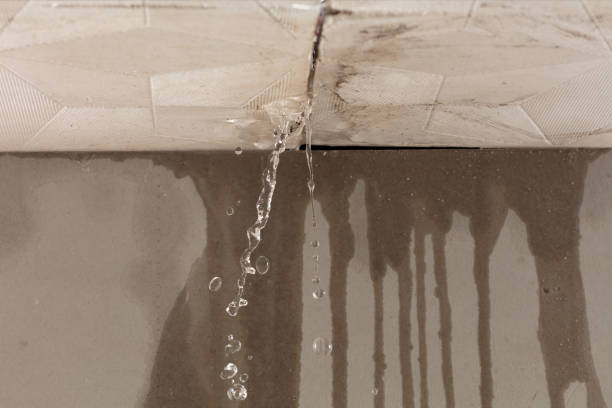 Professional Water Damage Restoration technician working in Shelbyville, MI